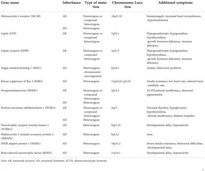 Clinical, genetic, and epidemiological survey of Polish children and adolescents with severe obesity: A study protocol of the Polish–German study project on severe early-onset obesity